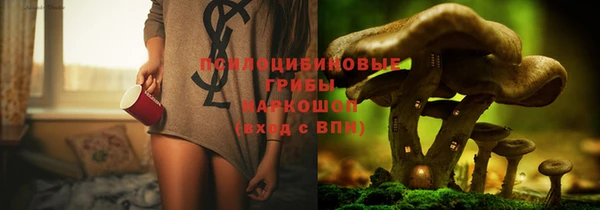 молекула духа Аркадак