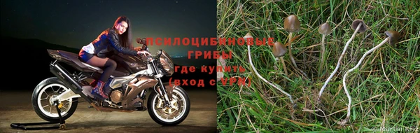 спиды Армянск