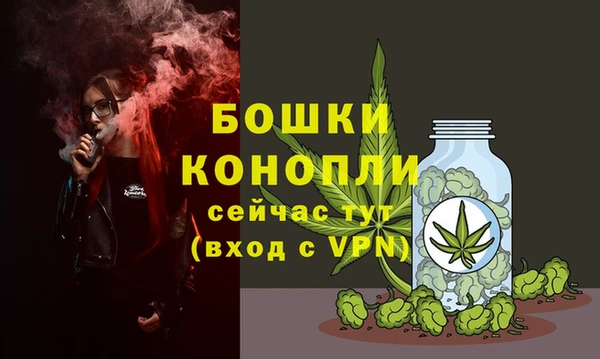 молекула духа Аркадак