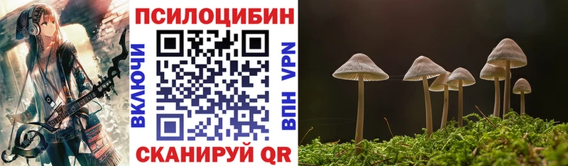 Псилоцибиновые грибы прущие грибы  купить  цена  Ишим 